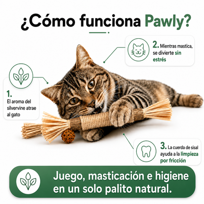 Bastoncitos de Matatabi Naturales