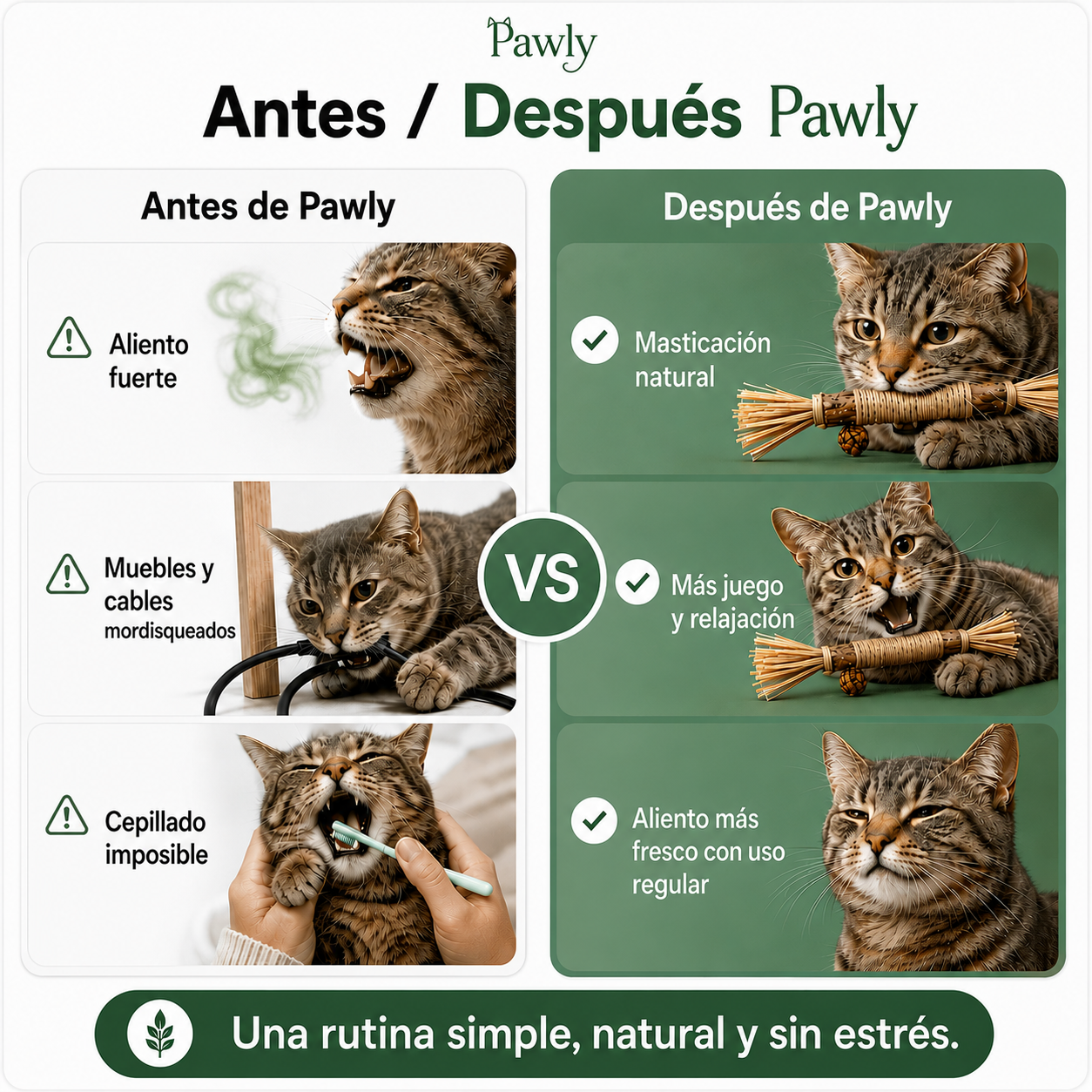 Bastoncitos de Matatabi Naturales