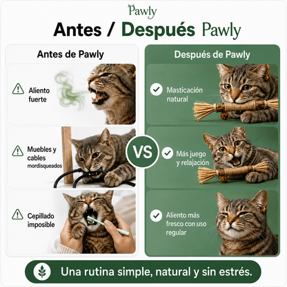 Bastoncitos de Matatabi Naturales