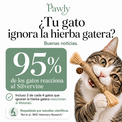 Bastoncitos de Matatabi Naturales